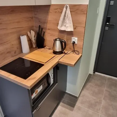 Obok Parku śląskiego Chorzów