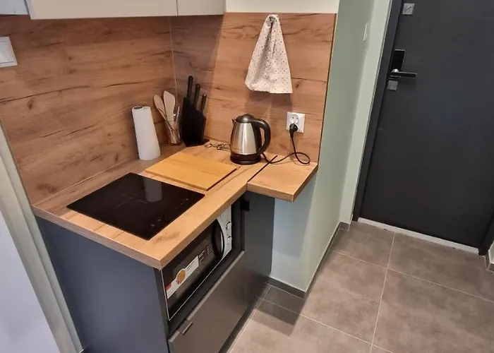 Obok Parku Slaskiego Chorzów