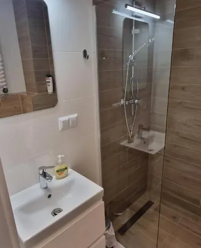 Obok Parku Slaskiego * Chorzów